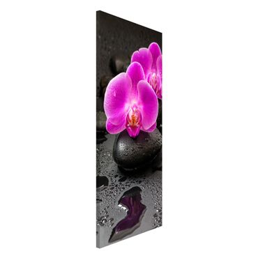 Quadros magnéticos Pink Orchid Flower On Stones With Drops