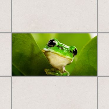 Autocolantes para azulejos Frog