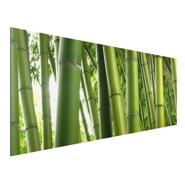 Quadros em alumínio Dibond Bamboo Trees No.1