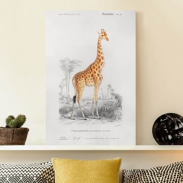 Telas decorativas Vintage Board Giraffe