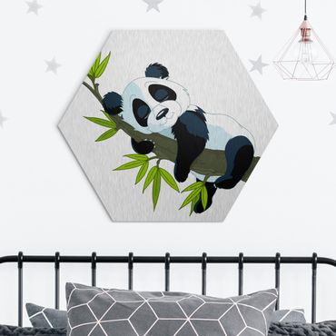 Quadros hexagonais Sleeping Panda