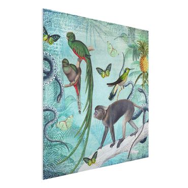 Quadros forex Colonial Style Collage - Monkeys And Birds Of Paradise
