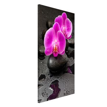 Quadros magnéticos Pink Orchid Flower On Stones With Drops