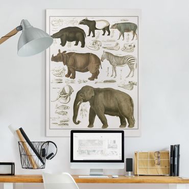Telas decorativas Vintage Board Elephant, Zebra And Rhino