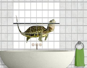 Películas para azulejos Turtle II