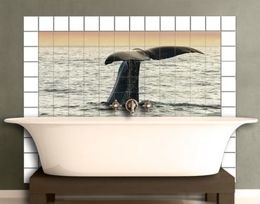 Películas para azulejos Diving Whale