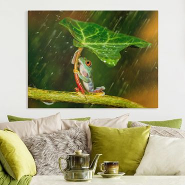 Telas decorativas Frog In The Rain