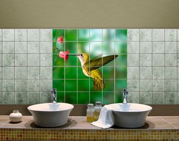Películas para azulejos Hummingbird And Flower
