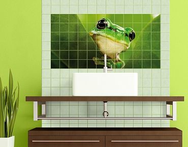 Películas para azulejos Frog
