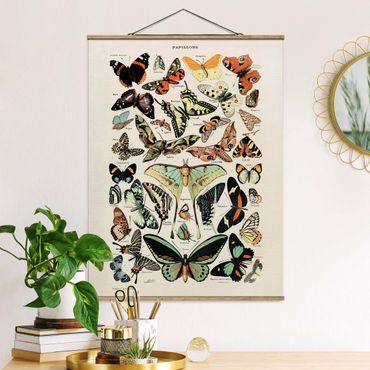 Quadros em tecido Vintage Board Butterflies And Moths