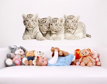 Autocolantes de parede No.504 Bengal Tiger Babies