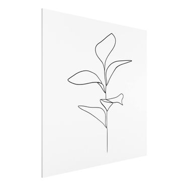 Quadros forex Line Art Plant Leaves Black And White