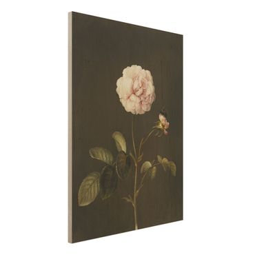 Quadros em madeira Barbara Regina Dietzsch - French Rose With Bumblbee