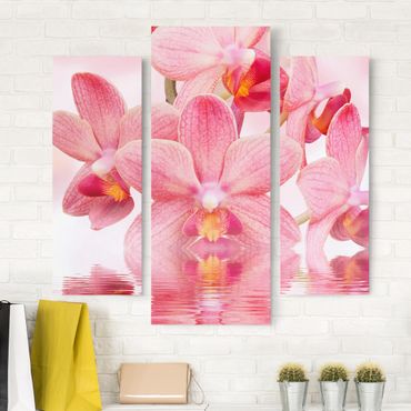 Telas decorativas 3 partes Light Pink Orchid On Water