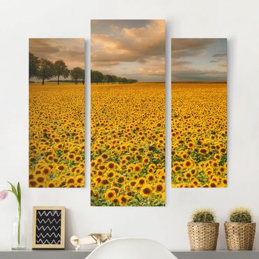 Telas decorativas 3 partes Field With Sunflowers