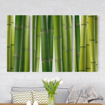 Telas decorativas 3 partes Bamboo Plants