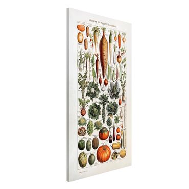 Quadros magnéticos Vintage Board Vegetables