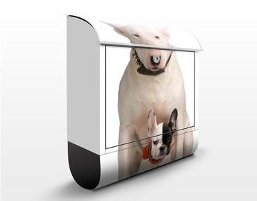 Caixas de correio Bull Terrier and Friend