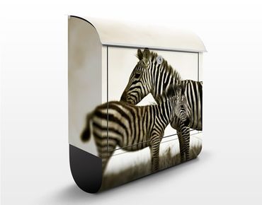 Caixas de correio Zebra Couple