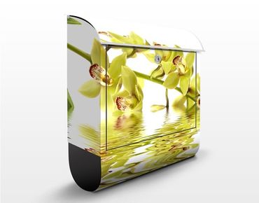 Caixas de correio Elegant Orchid Waters