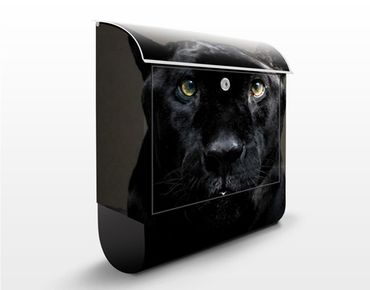 Caixas de correio Black Puma