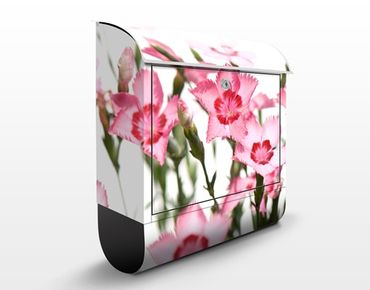 Caixas de correio Pink Flowers