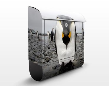 Caixas de correio Penguin