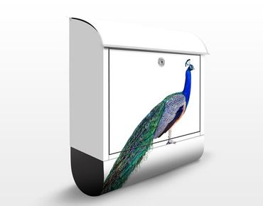 Caixas de correio Peacock