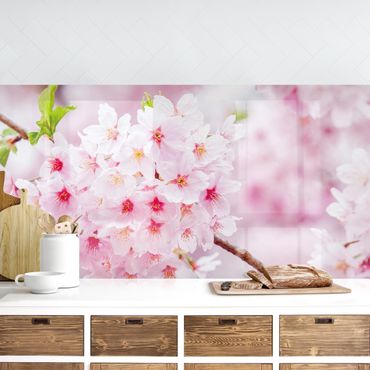 Backsplash de cozinha Japanese Cherry Blossoms
