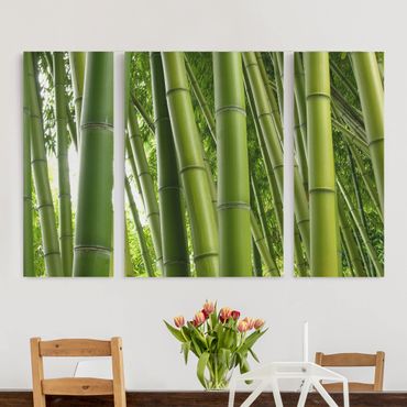 Telas decorativas 3 partes Bamboo Trees