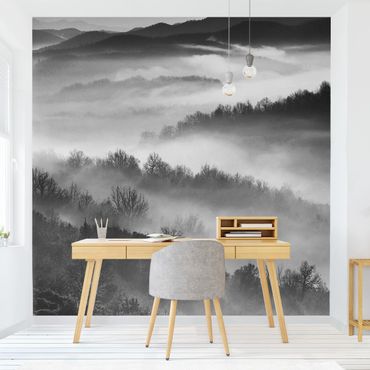 Mural de parede Fog At Sunset Black And White
