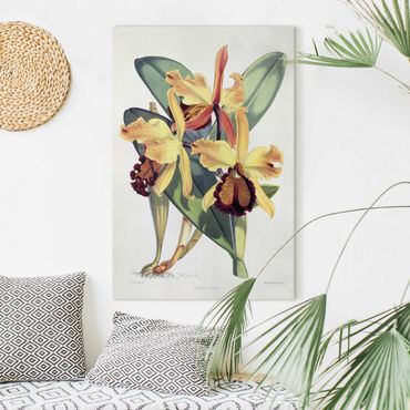 Telas decorativas Walter Hood Fitch - Orchid