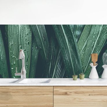 Backsplash de cozinha Green Palm Leaves