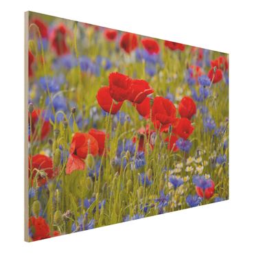 Quadros em madeira Summer Meadow With Poppies And Cornflowers
