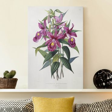 Telas decorativas Maxim Gauci - Orchid I