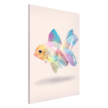 Quadros magnéticos Fish In Pastel