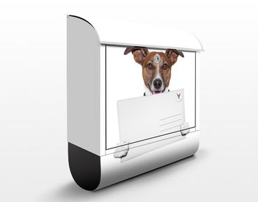 Caixas de correio Dog With Letter