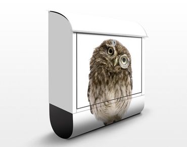 Caixas de correio Curious Owl