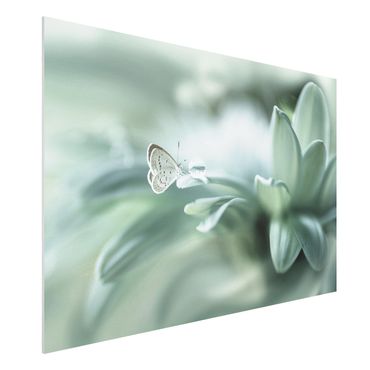 Quadros forex Butterfly And Dew Drops In Pastel Green