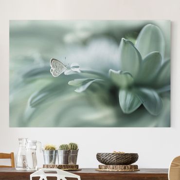 Telas decorativas Butterfly And Dew Drops In Pastel Green