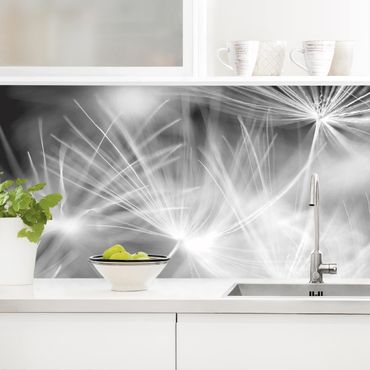 Backsplash de cozinha Moving Dandelions Close Up On Black Background