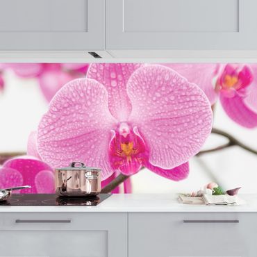 Backsplash de cozinha Close-Up Orchid
