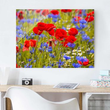 Quadros em vidro Summer Meadow With Poppies And Cornflowers