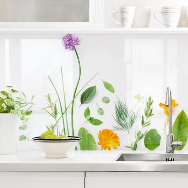 Backsplash de cozinha Herbs And Flowers