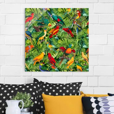 Quadros em vidro Colourful Collage - Parrots In The Jungle