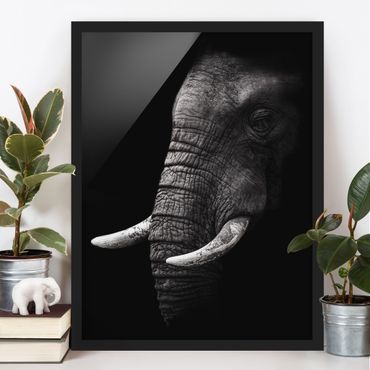 Quadros com moldura Dark Elephant Portrait