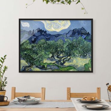 Quadros com moldura Vincent Van Gogh - Olive Trees