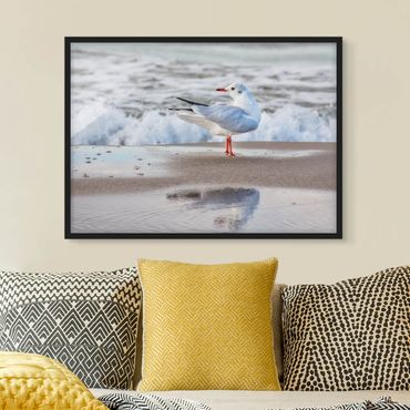 Quadros com moldura Seagull On The Beach In Front Of The Sea