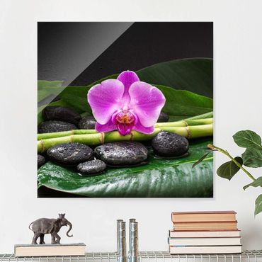 Quadros em vidro Green Bamboo With Orchid Flower