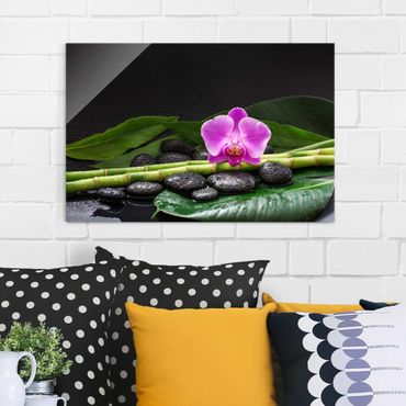 Quadros em vidro Green Bamboo With Orchid Flower